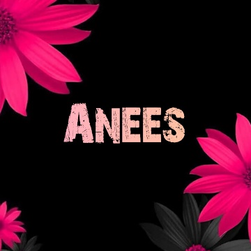 Muhammad Anees