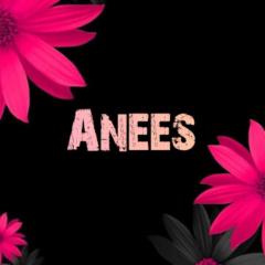 Muhammad Anees