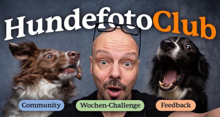 HundefotoClub