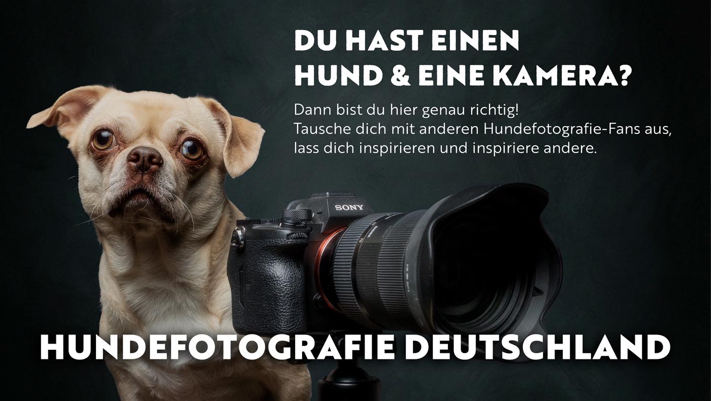 Hundefotografie Deutschland