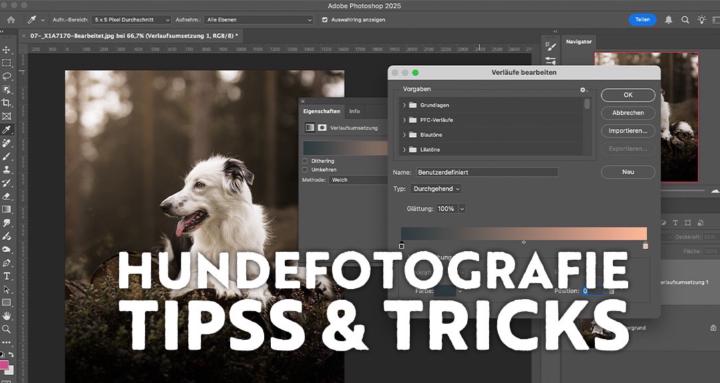 Hundefotografie Deutschland