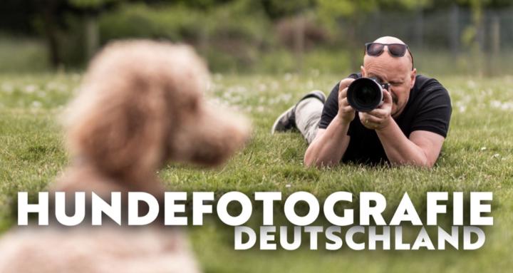Hundefotografie Deutschland