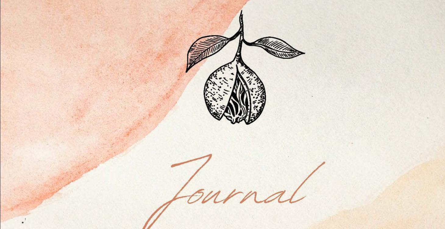 Journal