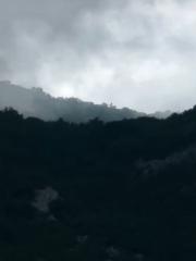 Justyna Szymkowiak-Linik