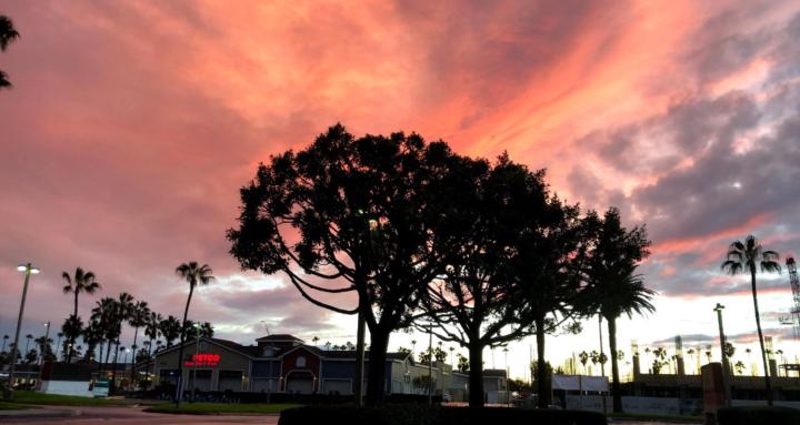 BlackBerry Molasses Foundation