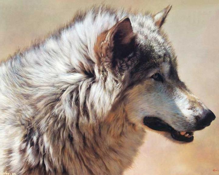 Sophie Wolf