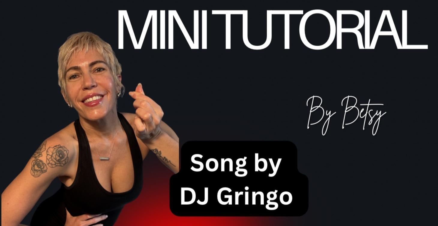 MINI TUTORIAL 1 Live your moments ny DJ Gringo