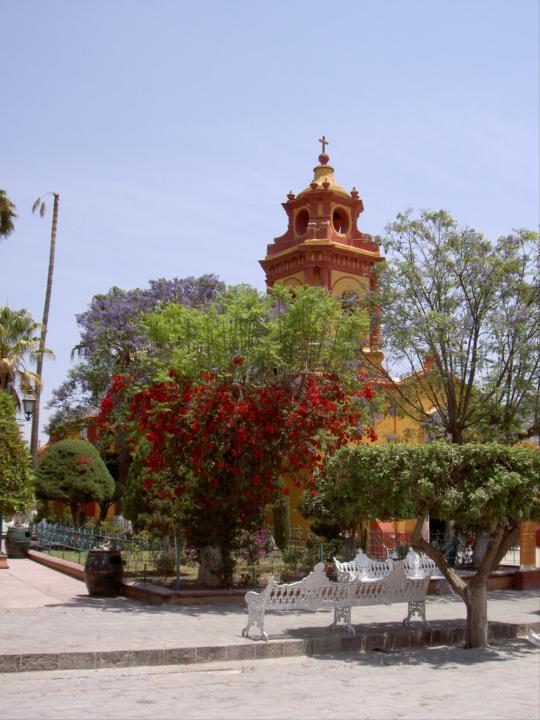 Carmen Constante Medina