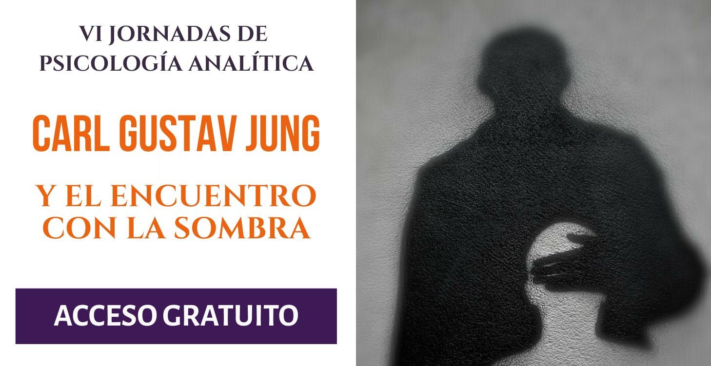 VI JORNADAS "JUNG Y EL ENCUENTRO CON LA SOMBRA"