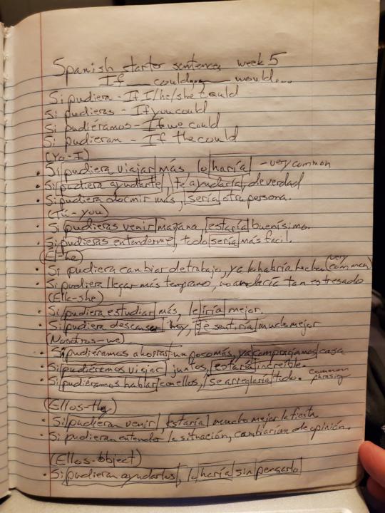 Spanish sentence starters week 5. If I could…, I would…