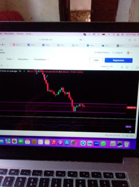 Maria del Carmen Campos Padilla