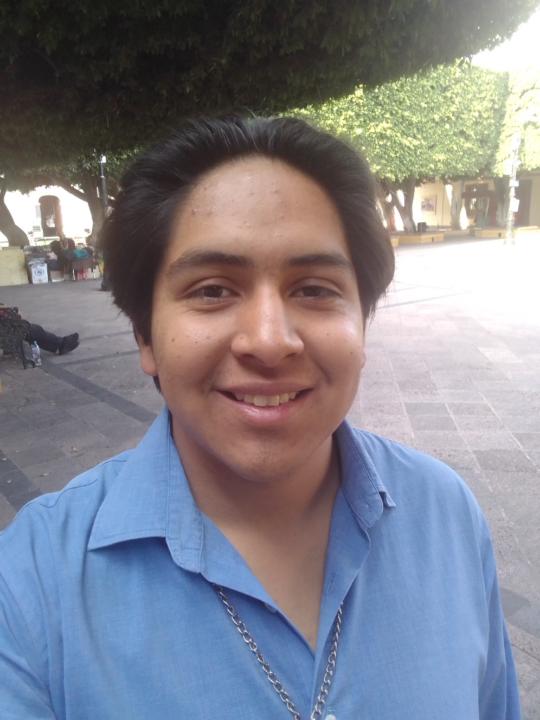 Gibrán Araujo
