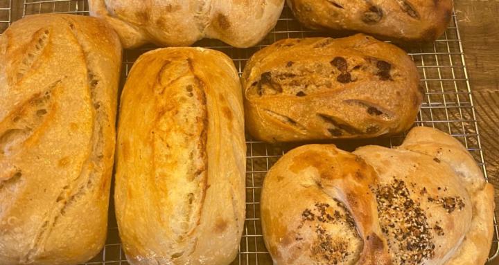 Everything Sourdough Grammy