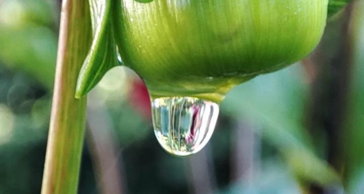 trying to close n Archive STW