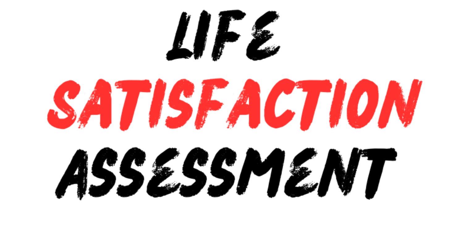 Life Satisfaction Assessment