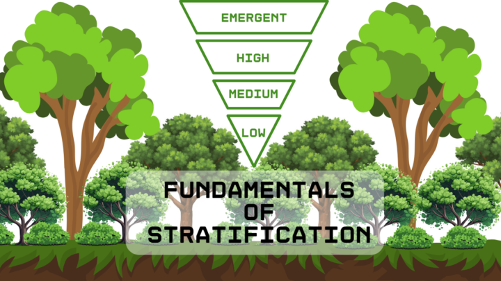 Stratification Mini - Course Incoming