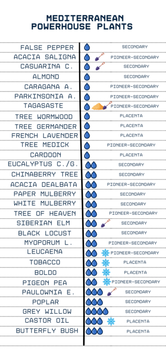 Powerhouse Plants for the Mediterranean Climate