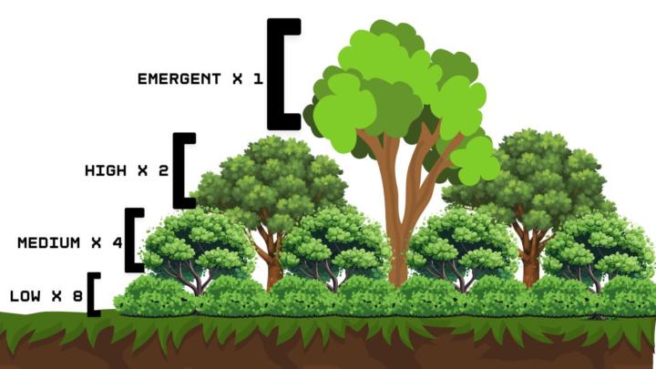 The mini-course on Stratification is going forward