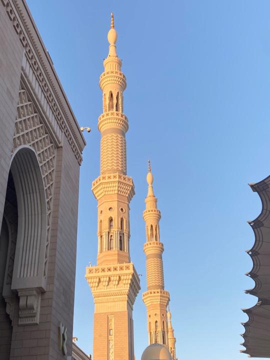 Sameeha Mohamed Salih