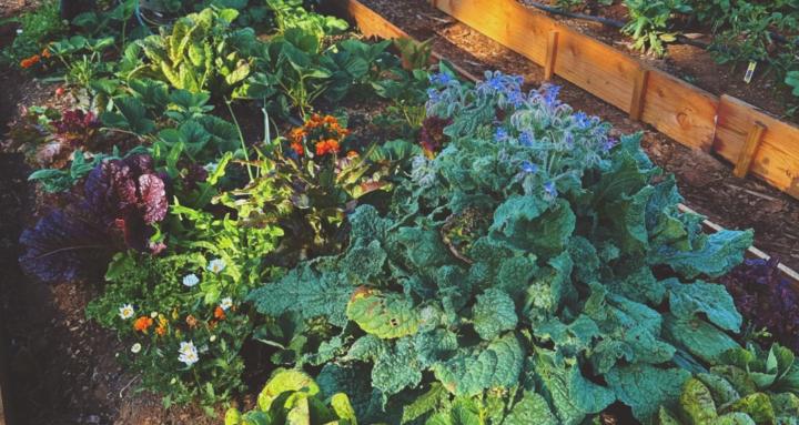 Home & Garden Club