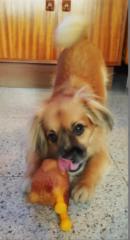 Jose Juan Medina Márquez