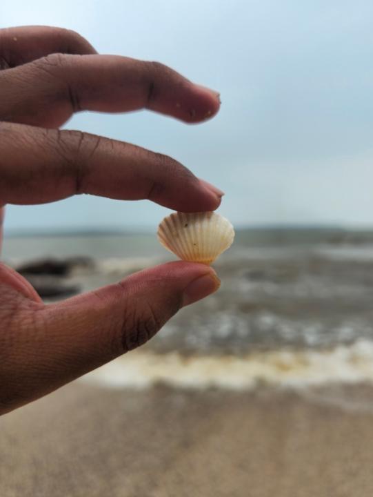 Saksham Verma