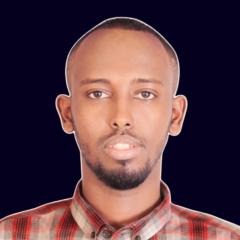 Abdiwahid Ali
