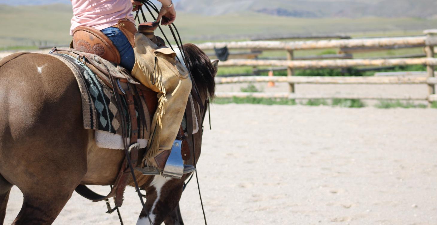 Turn Around on 8yro Ranch Horse -Diesel