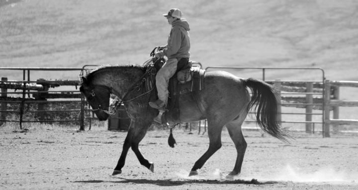 Wagoner Training