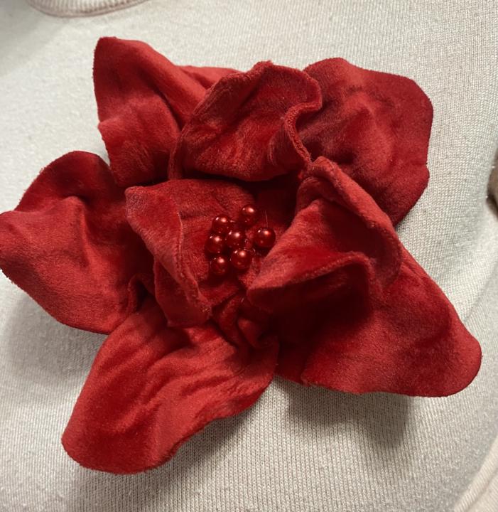 Fiore di velluto