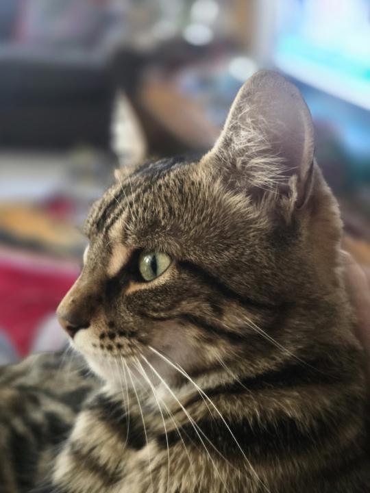 Mama, Su ve Barınak; Küçük Dokunuşlar, Büyük Etki