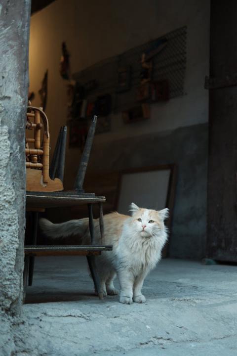 Rutin, Dokunma Terapisi, Beslenme ve Profesyonel Destek – Kapsamlı Sakinleştirme Rehberi