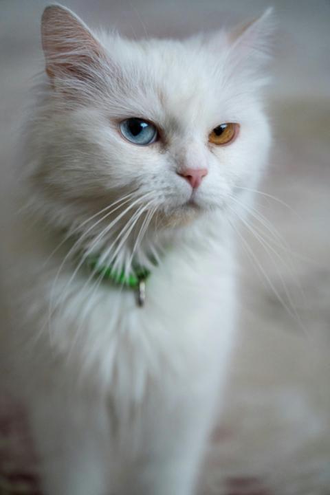 Rutin Bozulduğunda Ne Olur? – Kriz Yönetimi & Rutin Kurtarma Taktikleri