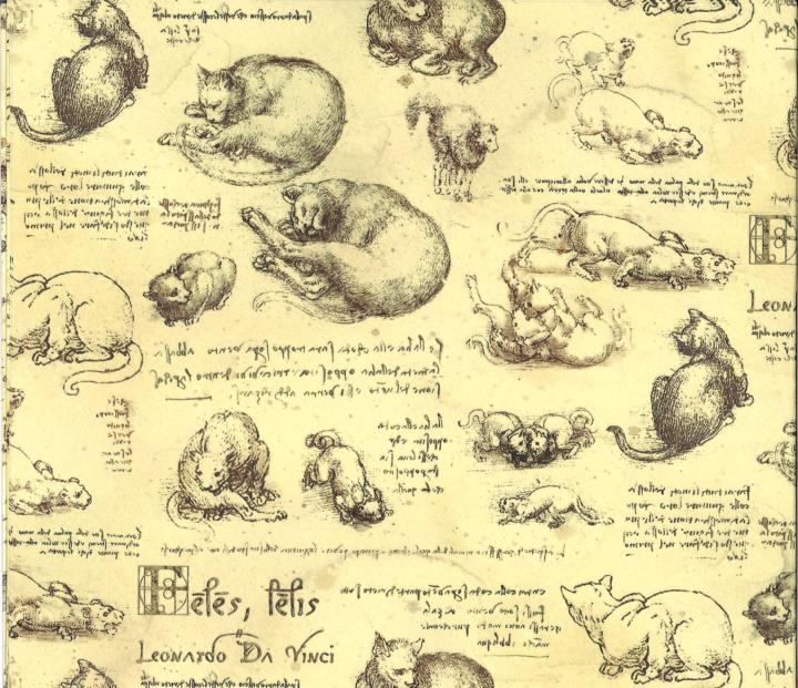 Kediler ve Fırçalar – Sanatın Sessiz İlhamı