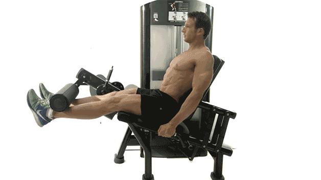 Seated Dumbbell Leg Extensions
