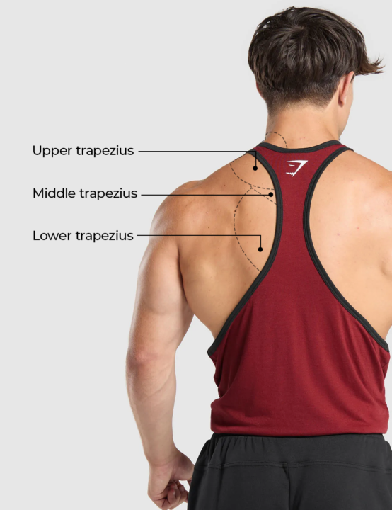 Best Trapezius Exercise