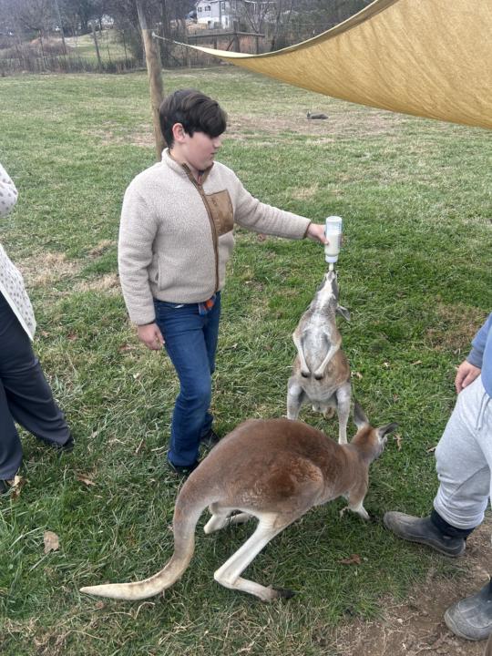 Mitchell’s Petting Zoo