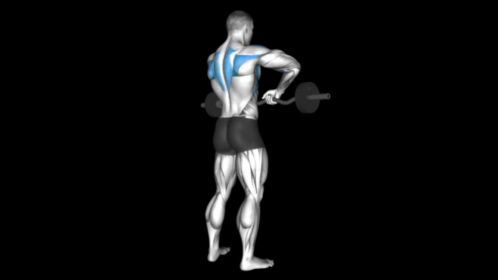 Upright Row For Shoulders