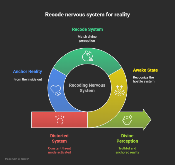 RECODE: NERVOUS SYSTEM & REALITY ANCHORING