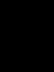 Anne-Sophie Jocaille