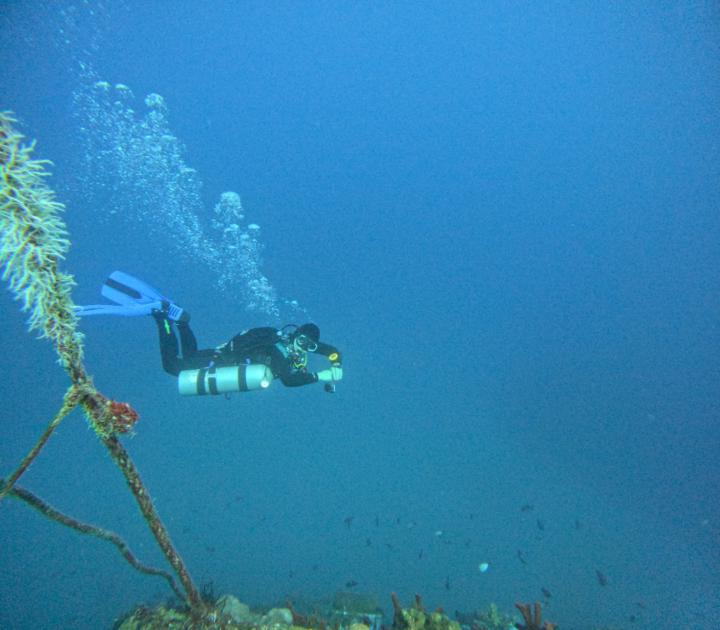 נטליה קליושניקוב