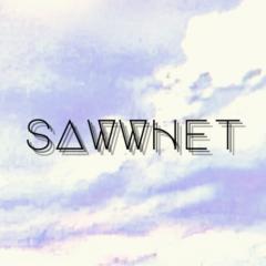 Saw Whet