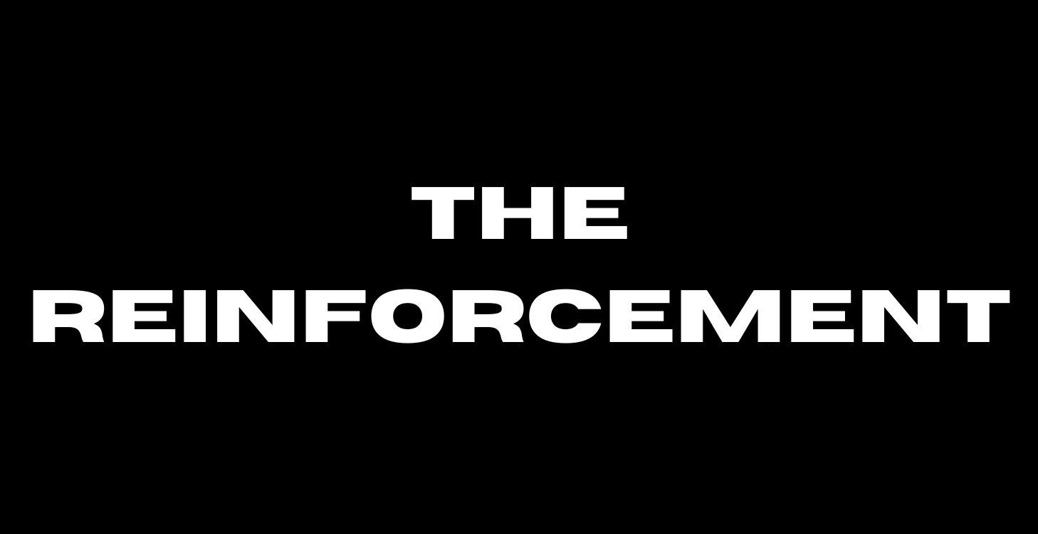 THE REINFORCEMENT