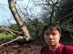 Mah Guo wei
