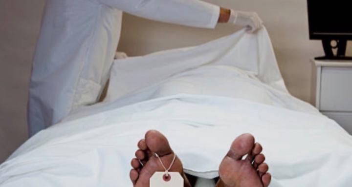 The Forensic Experts