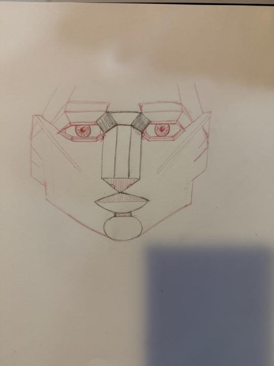 Drawing the face course