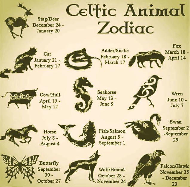 DAY 3- ZODIAC ALCHEMY - Draw Your 'Wildcard Sign' 🧧🐒🐇🐯🐉