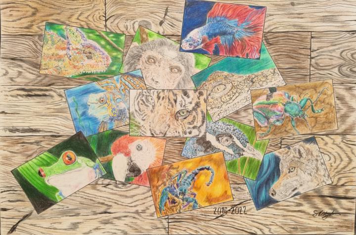 Animal Collage