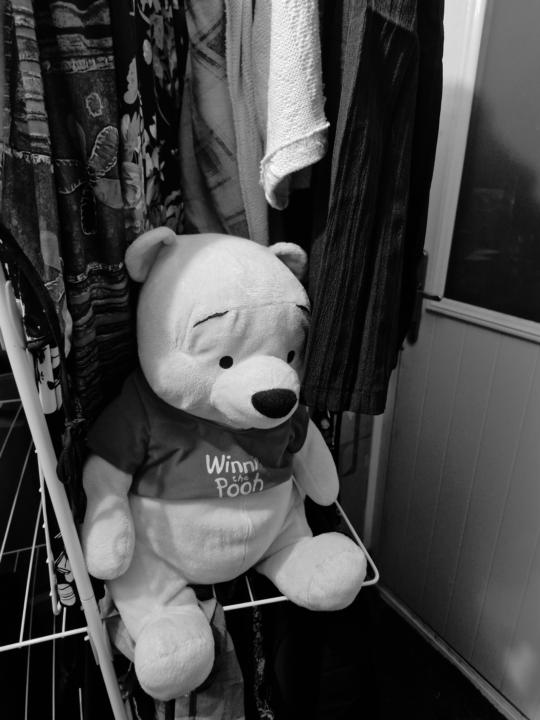Day 3 capture the rapture/ Sean H/ where's pooh?