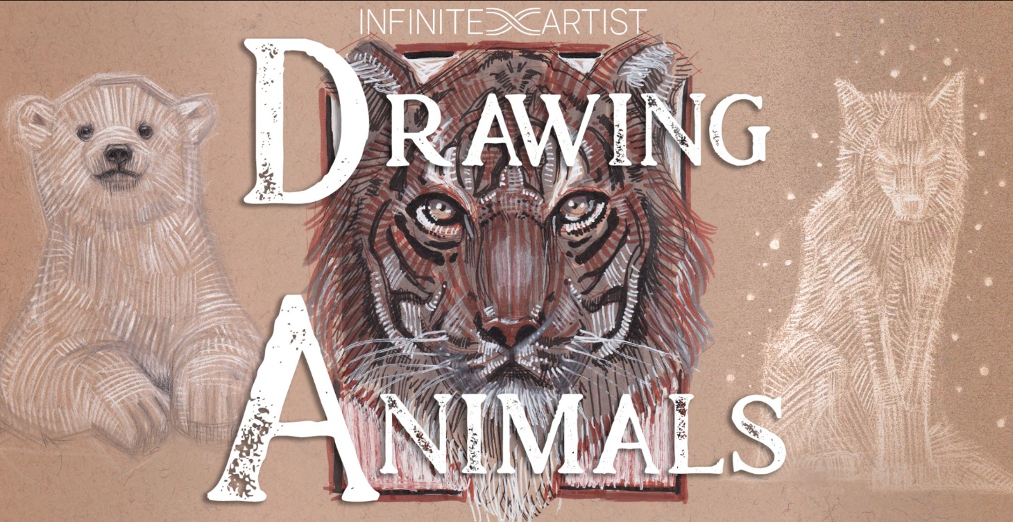 Drawing Animals